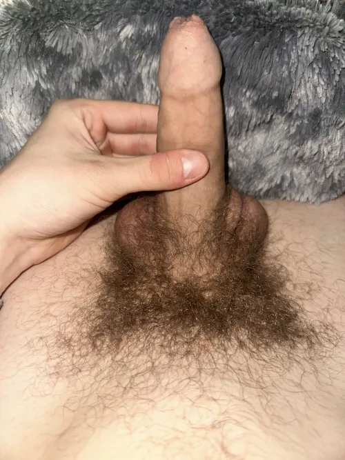 Thumbnail Been letting my bush grow Thoughts by 4Skinner4