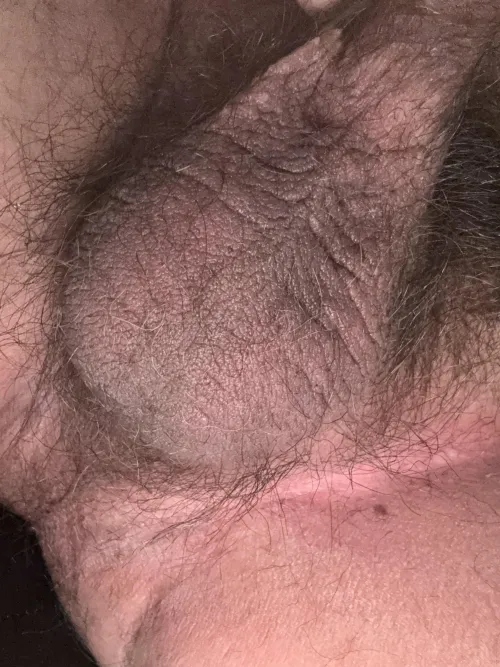 Thumbnail My tight balls are hairy and very wrinkly 26 by Nice-Indication9616
