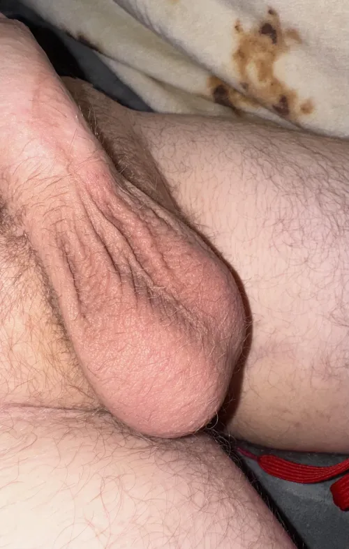 Thumbnail 26hairy balls could use a tongue by itsfriday1