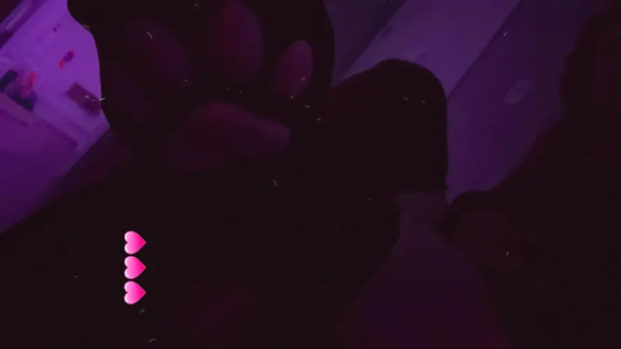 Thumbnail Got some new socks 3 by frisky_liz