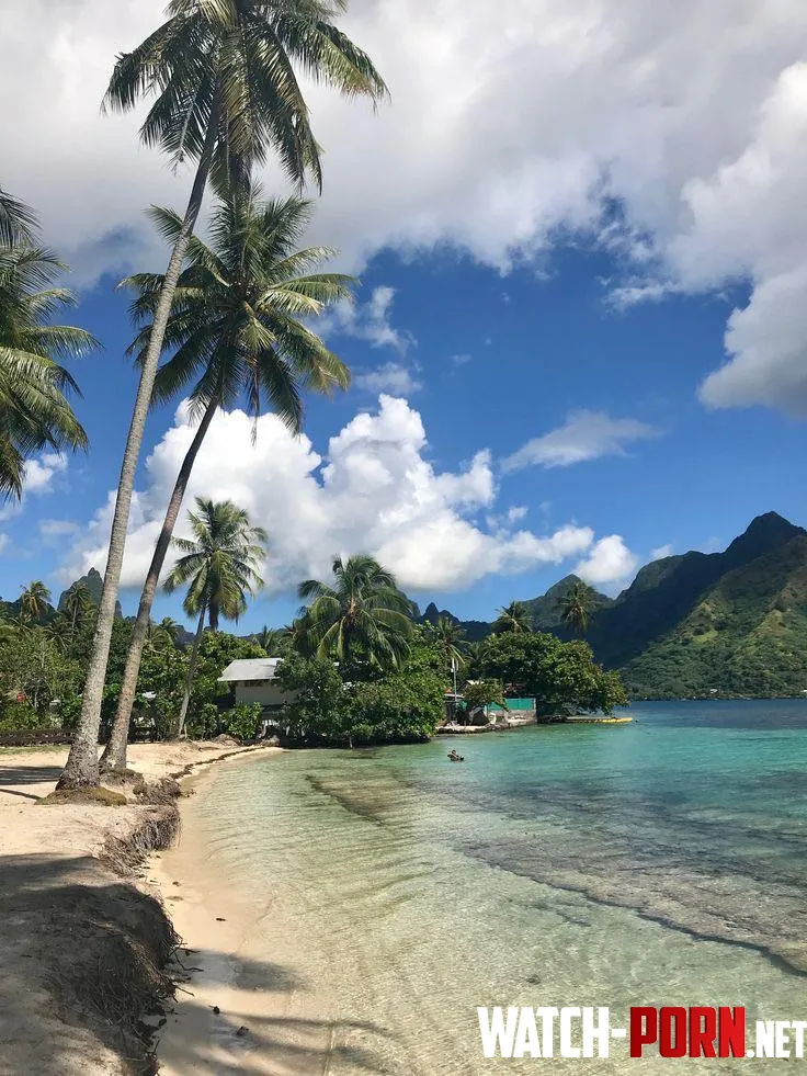 Moorea islandFrench Polynesia  by yeuxdusphynx