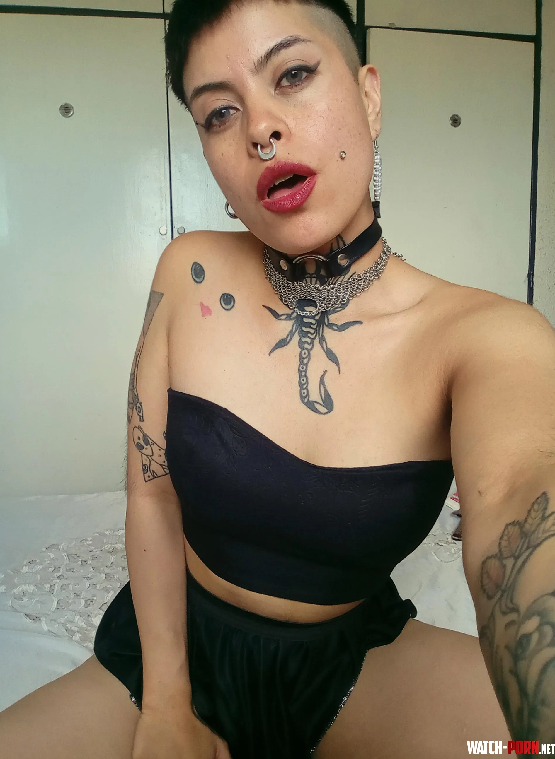 Today will be the day you tame this latin brat by -nieve
