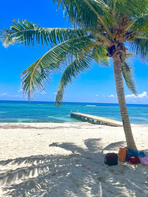 Thumbnail Explore the Beauty of Grand Cayman Beach by scaryIslandExPat