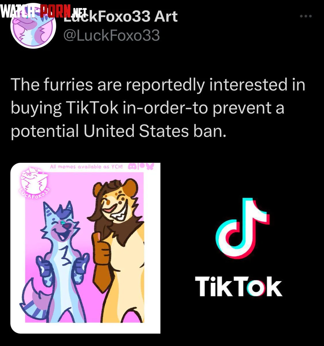 Tik Tok  by LuckFoxo33