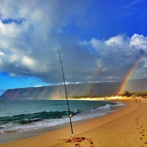 Thumbnail Discover the Beauty of Hawaii's Stunning Beaches by colapepsikinnie