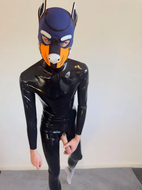 Thumbnail Captivating Gazes: Explore Jake_Taro's Petplay World