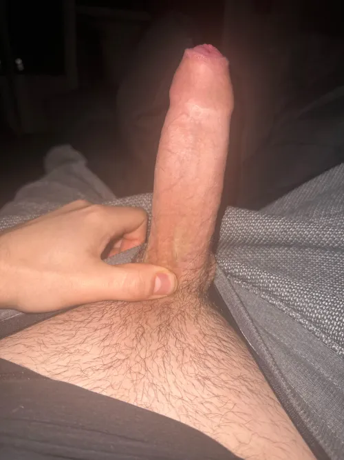 Thumbnail Raging boner bro  by ScarletPariah