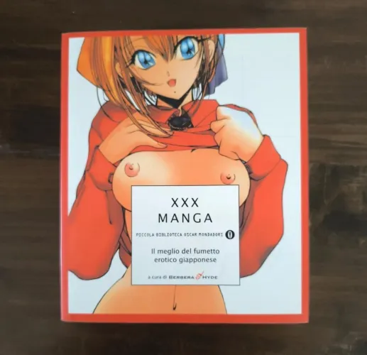 Thumbnail Unveiling Doujinshi: Identifying the Manga Covers with ChrisKirigaya