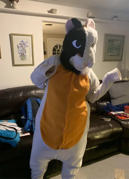 Thumbnail My_GuineaPig_Chicken Talks ANE 3 Encounters in the Furry World