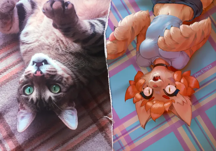 Thumbnail Everythings Calm and Then What? Insights in furry