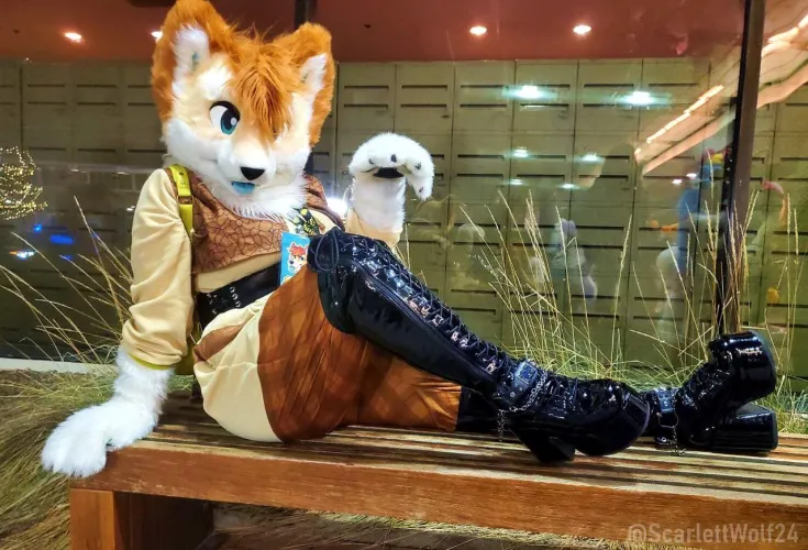 Thumbnail Furry Festivities: Happy Fursuit Friday | scarlettwolf24