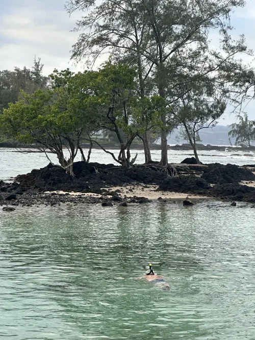 Thumbnail Exploring Hilo Hawaii's Carl Smiths beach by Terrible-Paint-6092