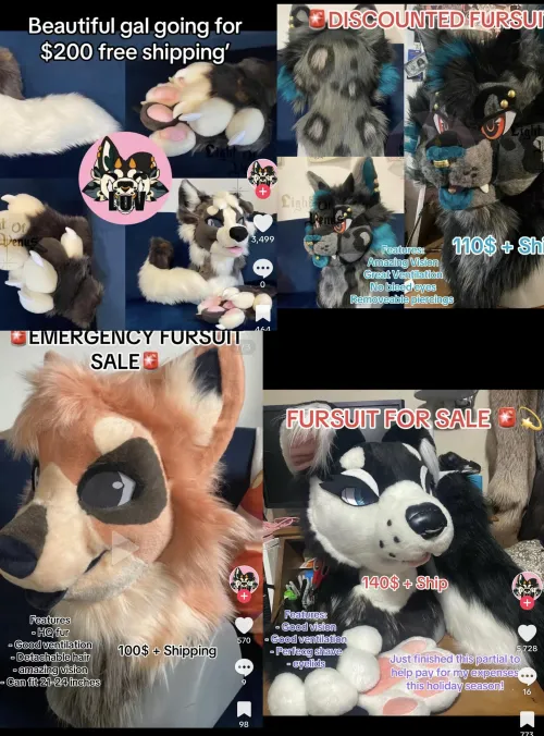 Thumbnail Furry Fears: Exploring Doubts | Comfortable_Role_916
