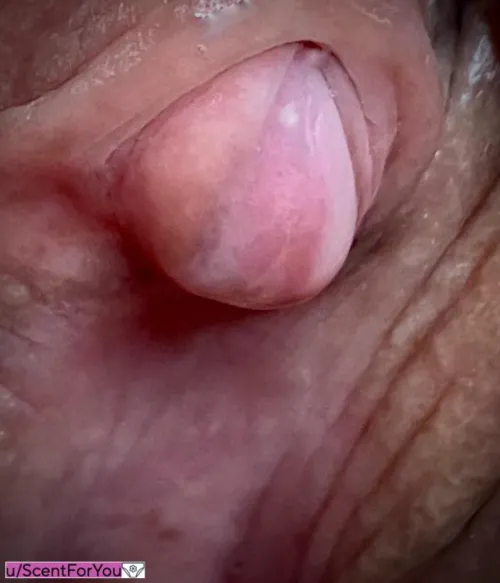 Thumbnail A Throbbing Clit - A Sign of Arousal by ScentForYou - bigclit Category