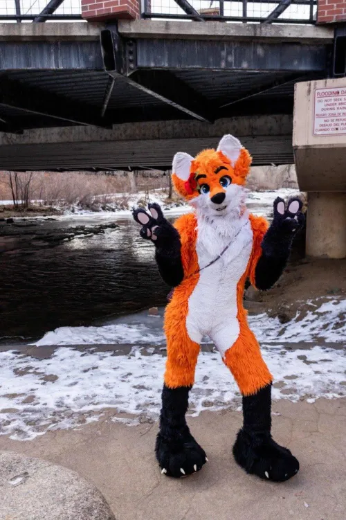 Thumbnail Furry Tranquility: Embrace Peaceful Moments | blaze_the_foxx