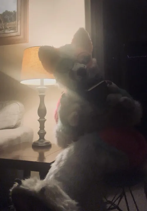 Thumbnail Happy Fursuit Friday: Reading Glasses & Furry Adventures