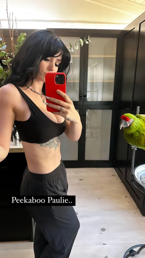 Thumbnail Saraya's Impact: jorodgers966 in WrestleFap