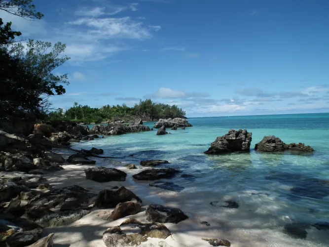 Thumbnail Bermuda Paradise: A Beach Adventure by colapepsikinnie | beach