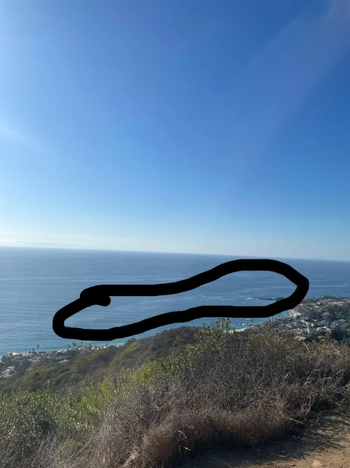 Thumbnail Laguna Beach Queries: Questions Unveiled by natebuddy | beach