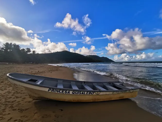 Thumbnail Explore El Valle, Dominican Republic Beach | Beach