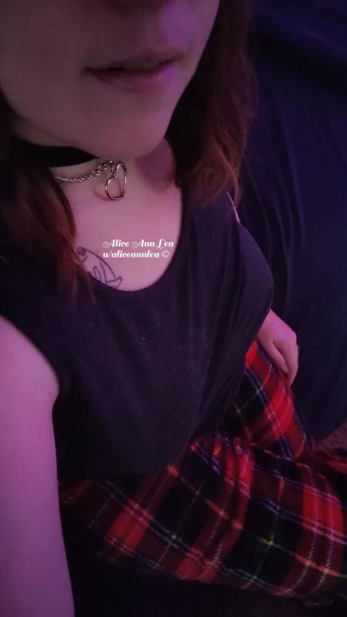 Thumbnail Master's Approval: Comfort and Submission in Collared Attire by aliceannlea