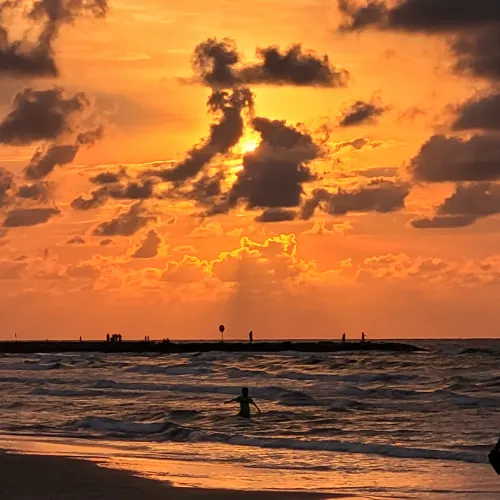 Thumbnail Discovering Galveston, TX: A Beach Paradise by Electronic-Paper5672