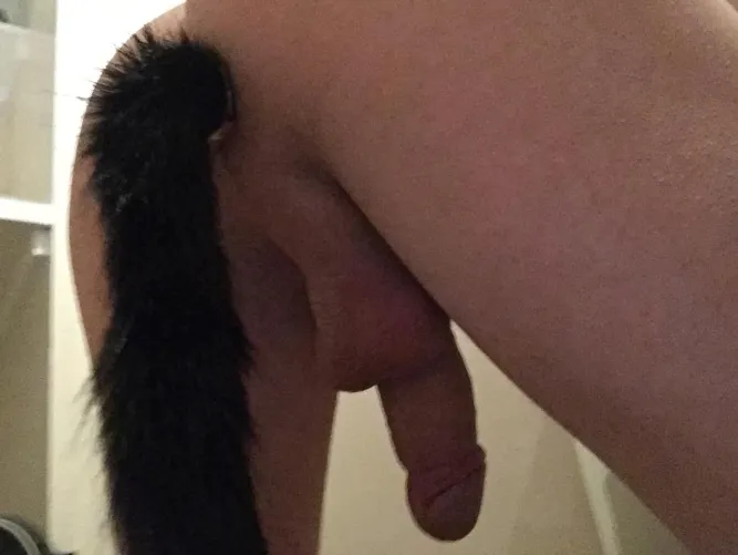 Thumbnail Embracing Pet Play: BigT_95's Ears Adventure Begins
