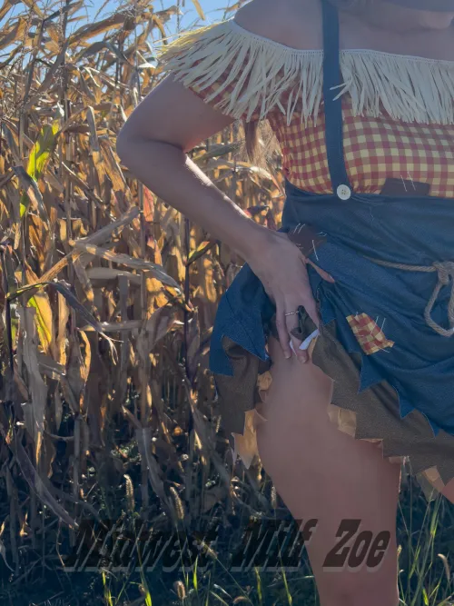 Thumbnail Maze Beauty Discovery with MidwestMilfZoe | countrygirls