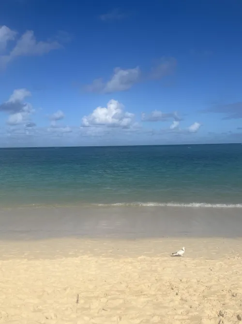 Thumbnail Dive into Serenity: The Allure of Hawaii's Lanikai Beach Unveiled