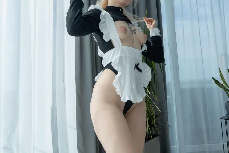 Thumbnail Ready to Clean Up: A French Maid's Guide by PearlPoppyPrincess