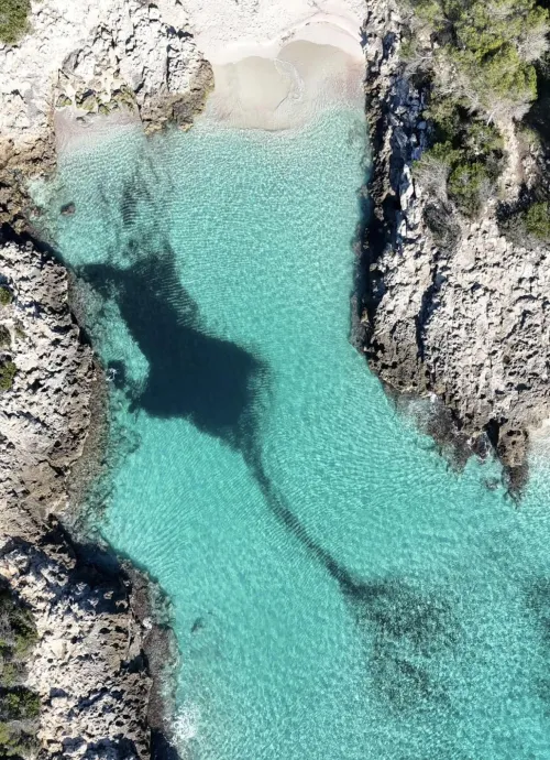 Thumbnail Discover Mayorca Beach Insights by RedSpotPassion
