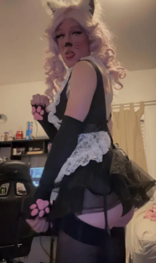 Thumbnail Exploring the World of a Horny Kitty Cat - Petplay Insights by Altruistic_Ad_2443