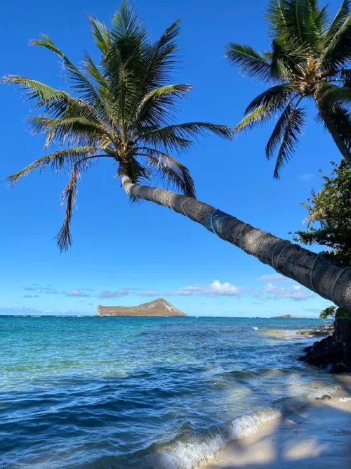 Thumbnail Discover Waimanalo, Oahu's Serene Beach Beauty by Yeuxdusphynx