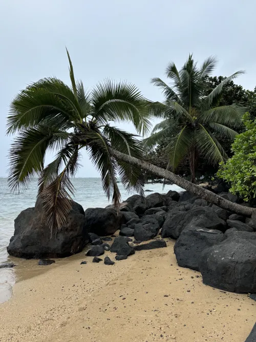 Thumbnail Kahili Beach in Kauai, Hawaii: Ultimate Beach Escape by not_yr_avg_jo