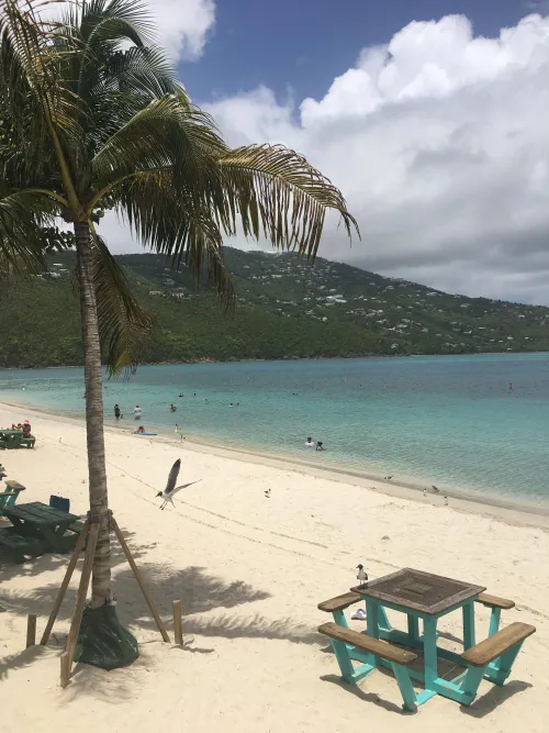 Thumbnail KFTrandahl Showcases the Beauty of Magens Bay St. Thomas in Beach Category