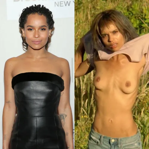 Thumbnail Zo Kravitz's On-Off Celebrity Allure by McCoy303