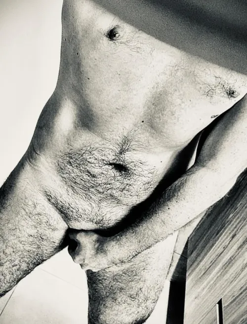 Thumbnail Hump Day Celebration: Happy Hump Day by Salacious_Stag | GWAustralia