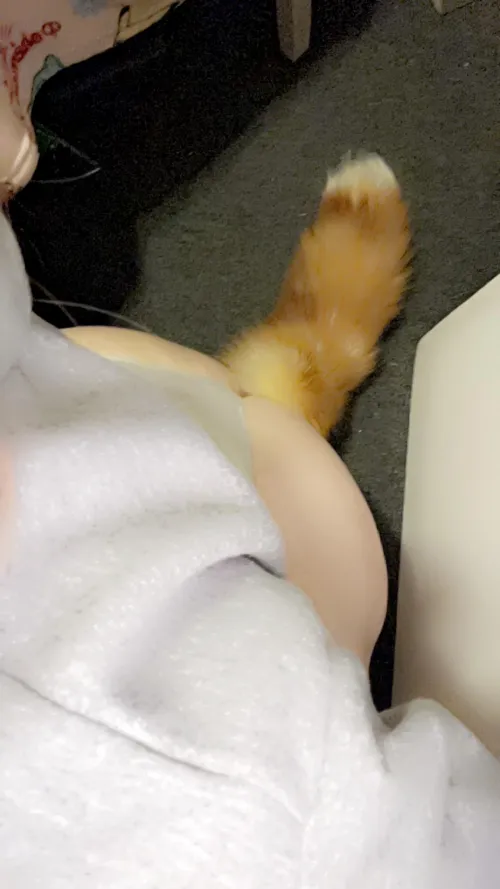 Thumbnail Taming the Horny Fox: A Playful Challenge | Dumbwhore4200