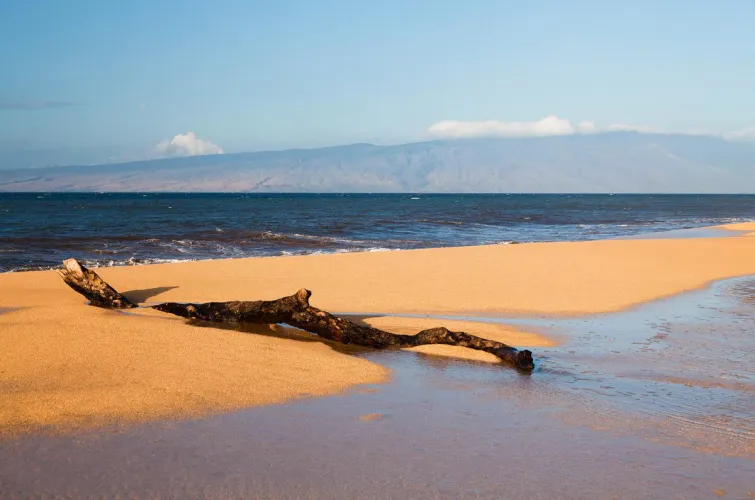 Thumbnail Lanai Paradise: Explore the Beach Beauty by colapepsikinnie