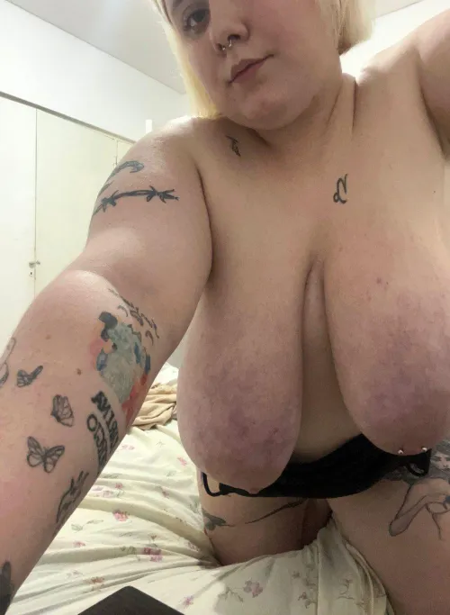 Thumbnail Indulge in Desire: 'My Boobs Would Leave You Craving Me Forever' by Wooden-Ad-8951