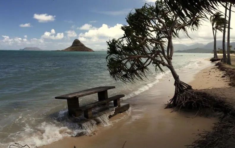 Thumbnail Kualoa Through the Lens of colapepsikinnie | beach