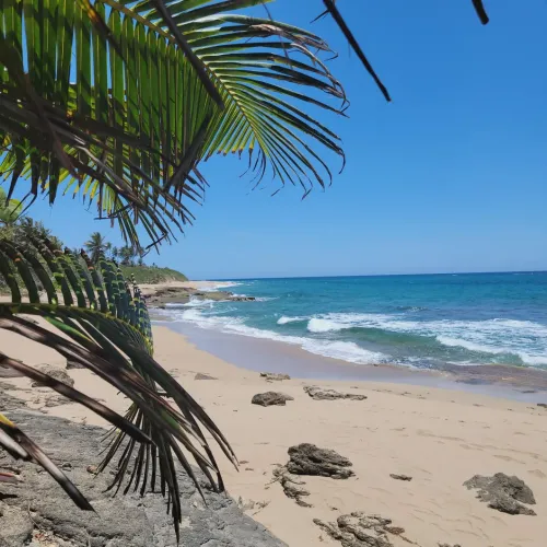 Thumbnail Discover Arecibo, Puerto Rico: Beach Adventures by Turbulent_Patient483