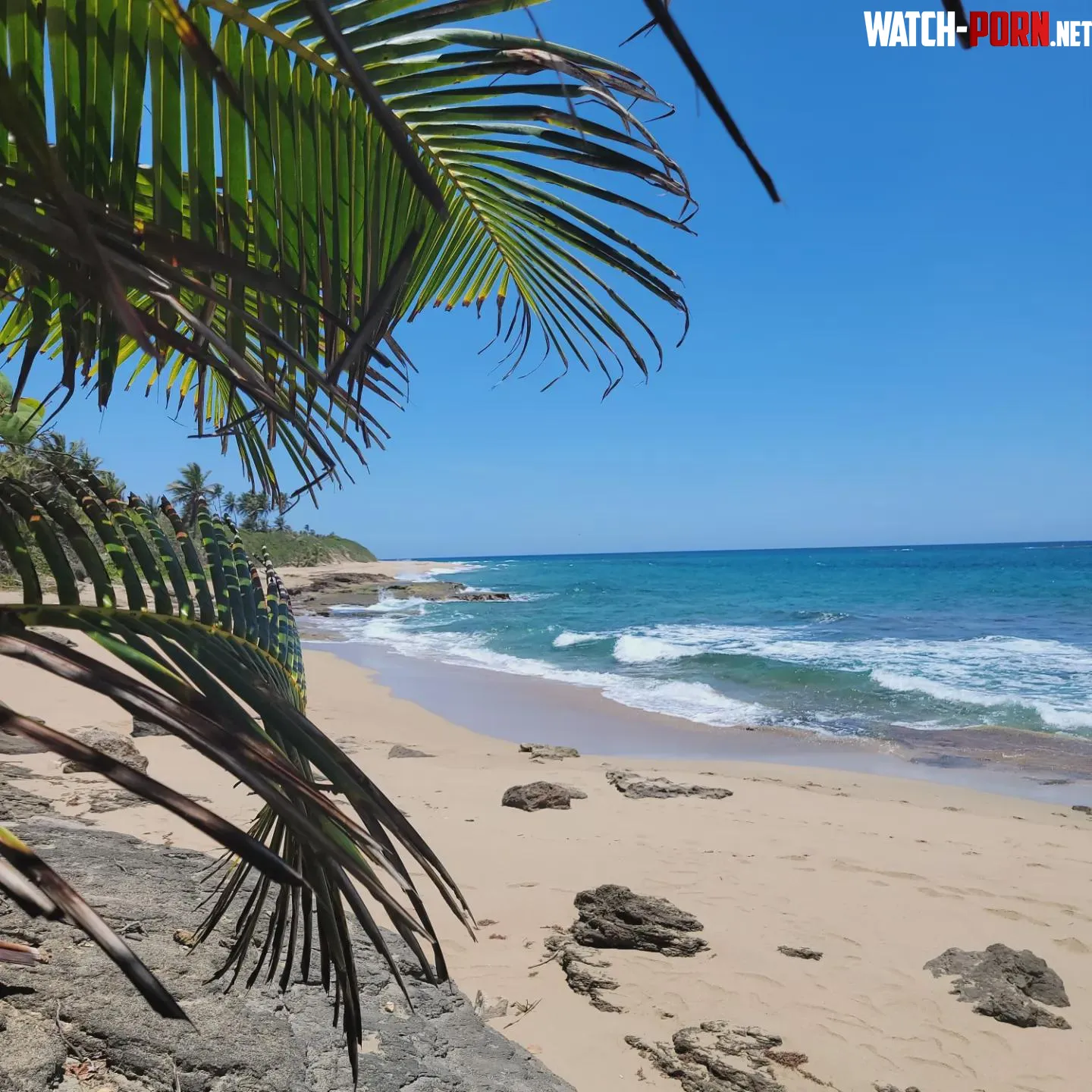 AreciboPuerto Rico by Turbulent_Patient483