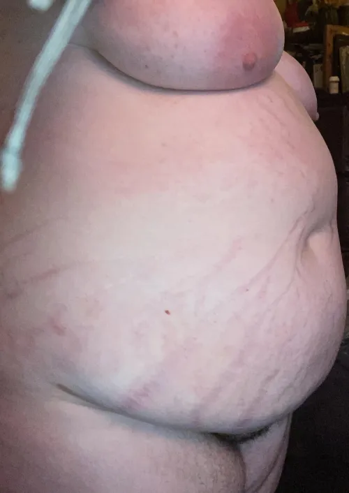 Thumbnail bearissquishy Revels in Resting Wonders: Stuffers Delight Unveiled