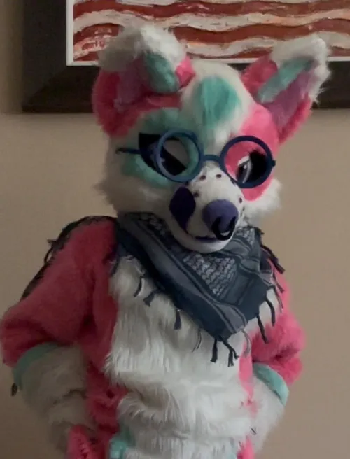 Thumbnail Ancient_Summer_1833: Happy Fursuit Friday - Embracing the Furry Community
