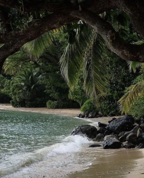 Thumbnail Costa Rica's Beach Paradise by Colapepsikinnie