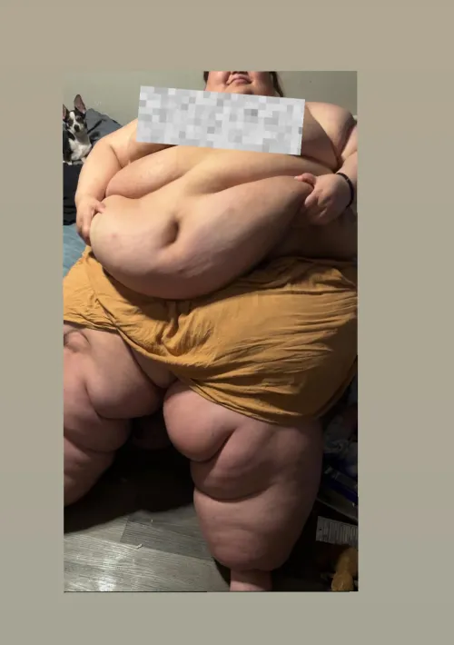 Thumbnail HMU on Insta: Plump Up This Piggy - Stuffers World Calling