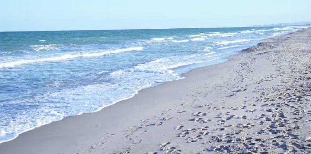Thumbnail Embracing a Quiet Morning on the Beach by Petitehoney69