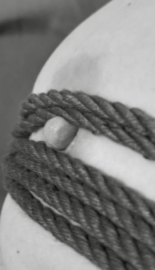 Thumbnail All Tied Up: An Intimate Tale by itybity559