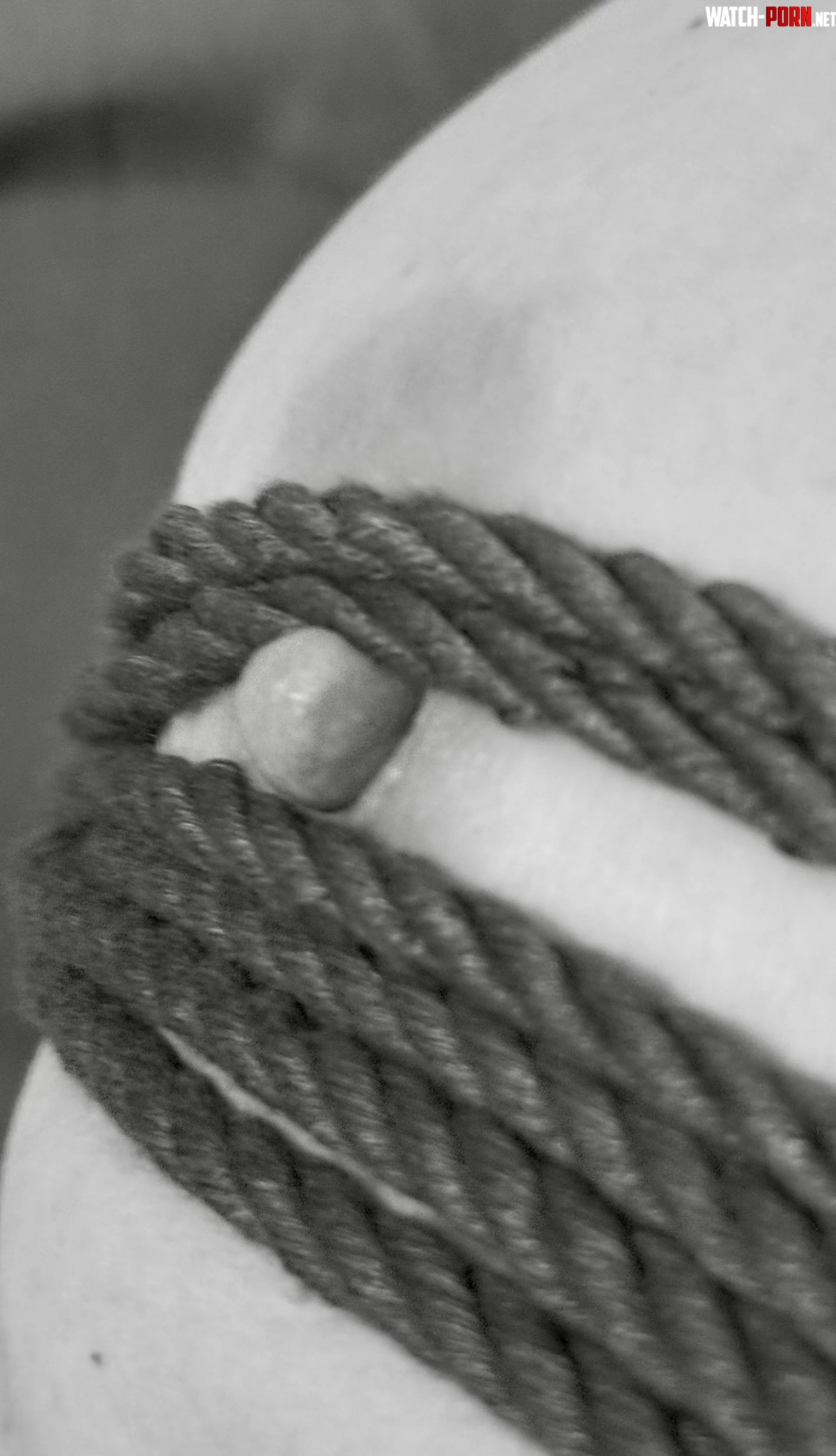 All tied up by itybity559